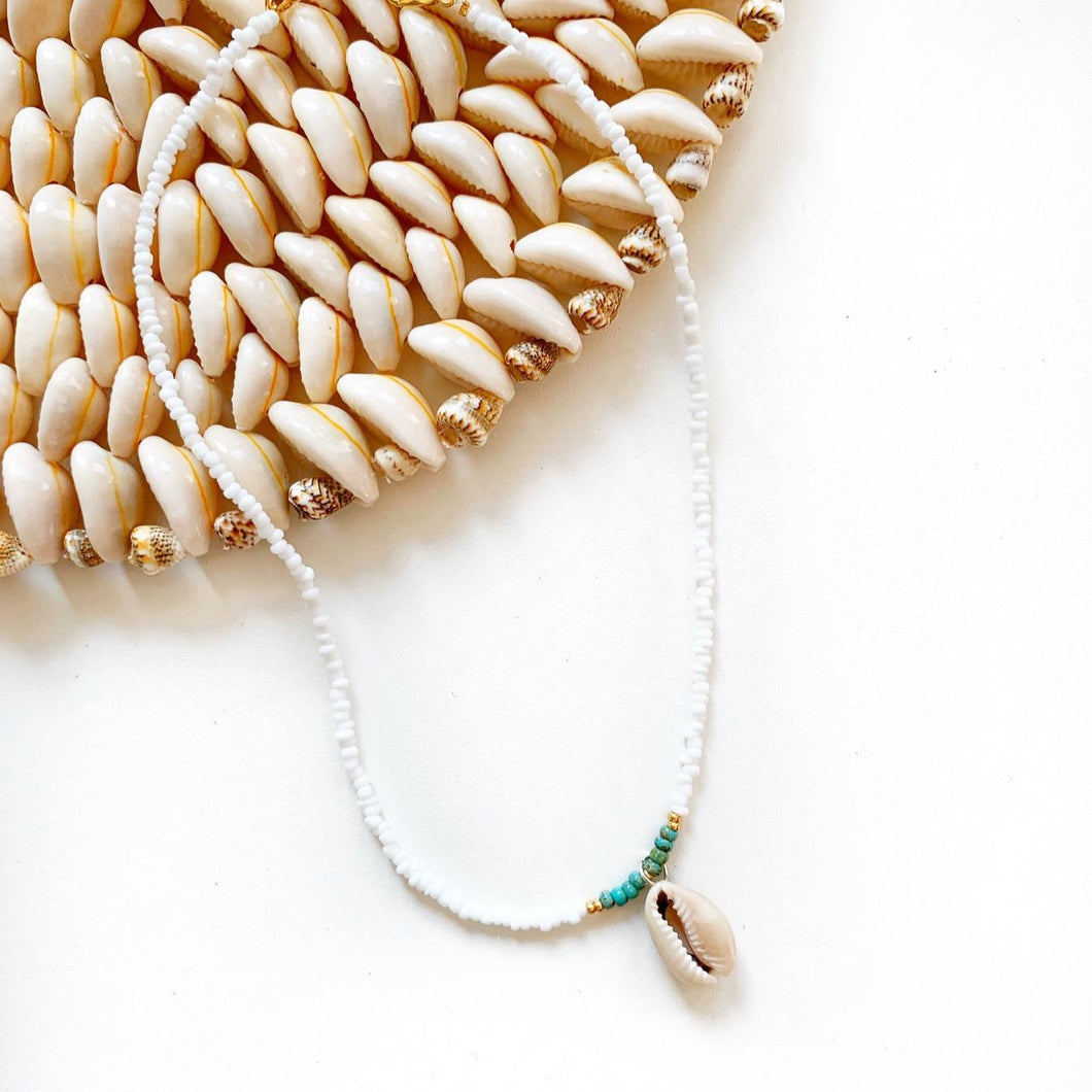 NECKLACE SHELLS